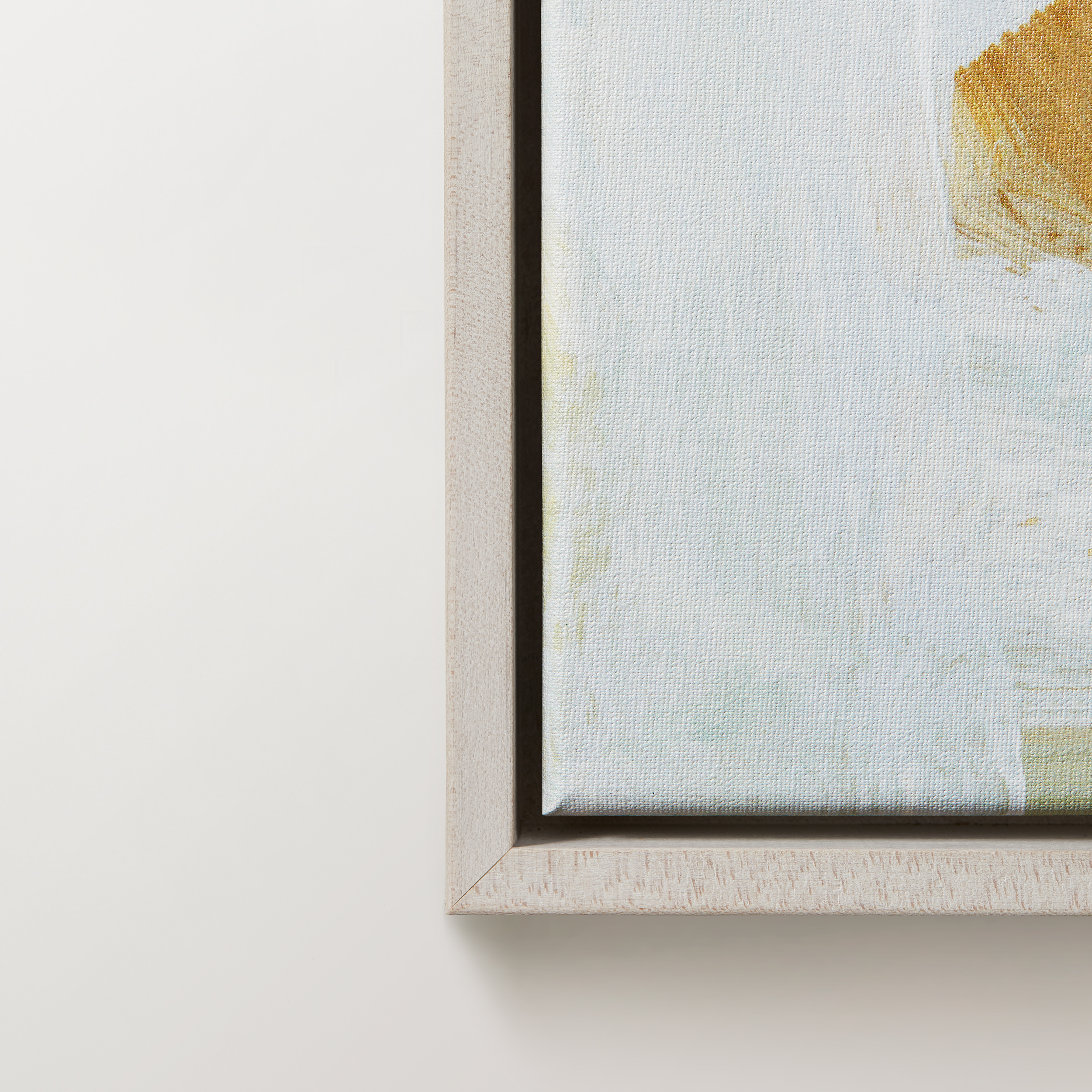 Bleached Maple Canvas - Image 3
