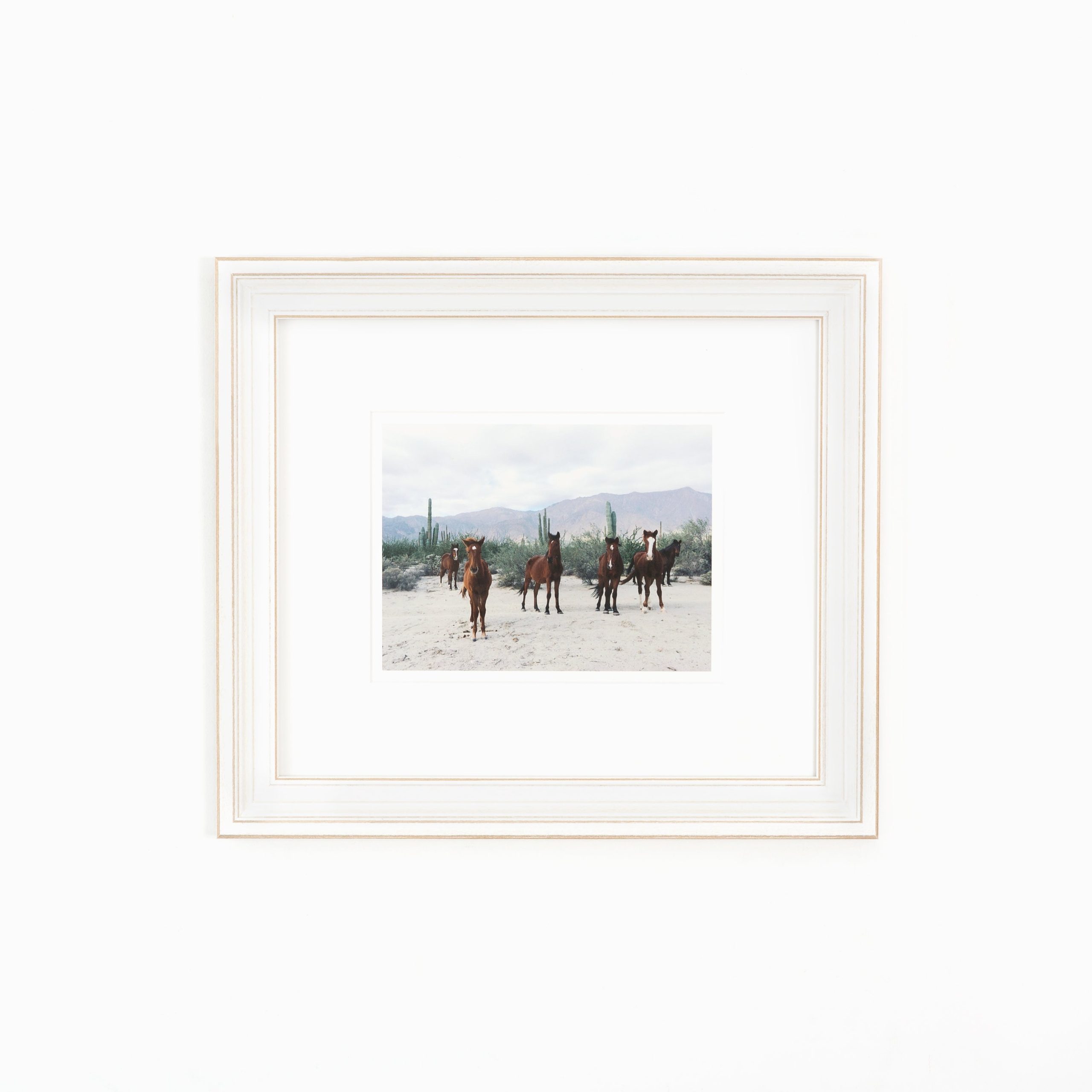 Montauk - Image 2